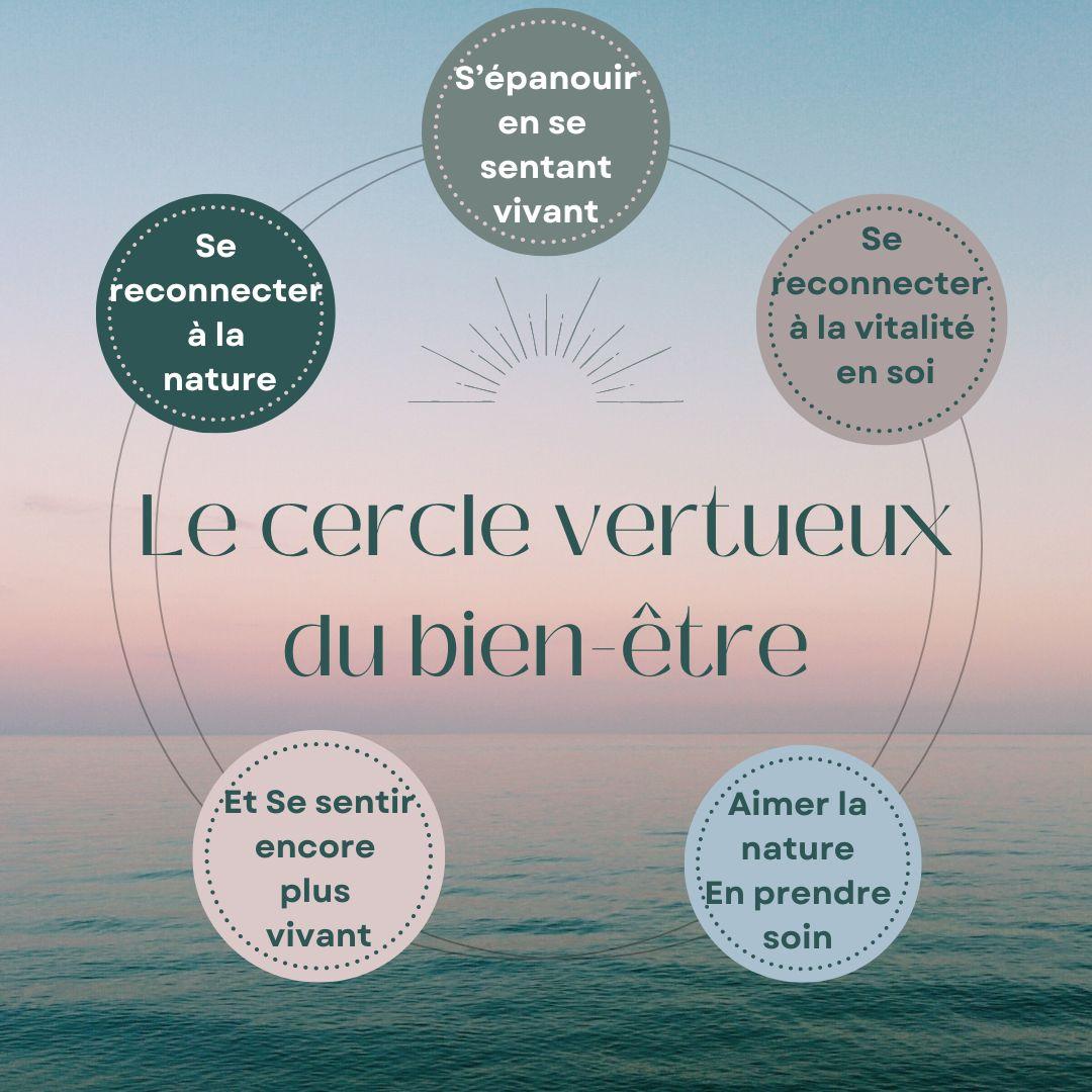 Publication instagram les 5 piliers du bien etre bleu vert