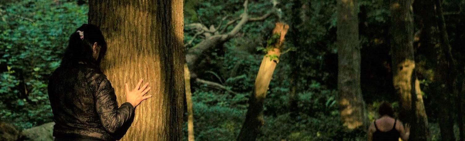 Sylvothérapie - Bains de forêt